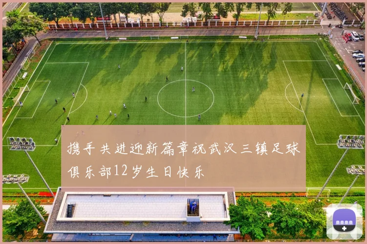 携手共进迎新篇章祝武汉三镇足球俱乐部12岁生日快乐