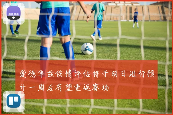 爱德华兹伤情评估将于明日进行预计一周后有望重返赛场