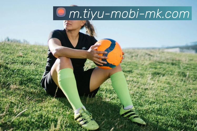 App Interface Preview