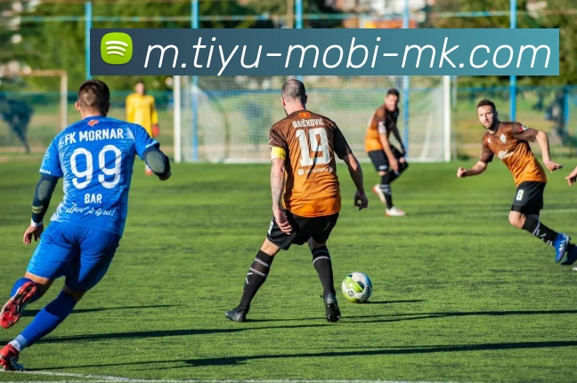 MK体育APP 封面图